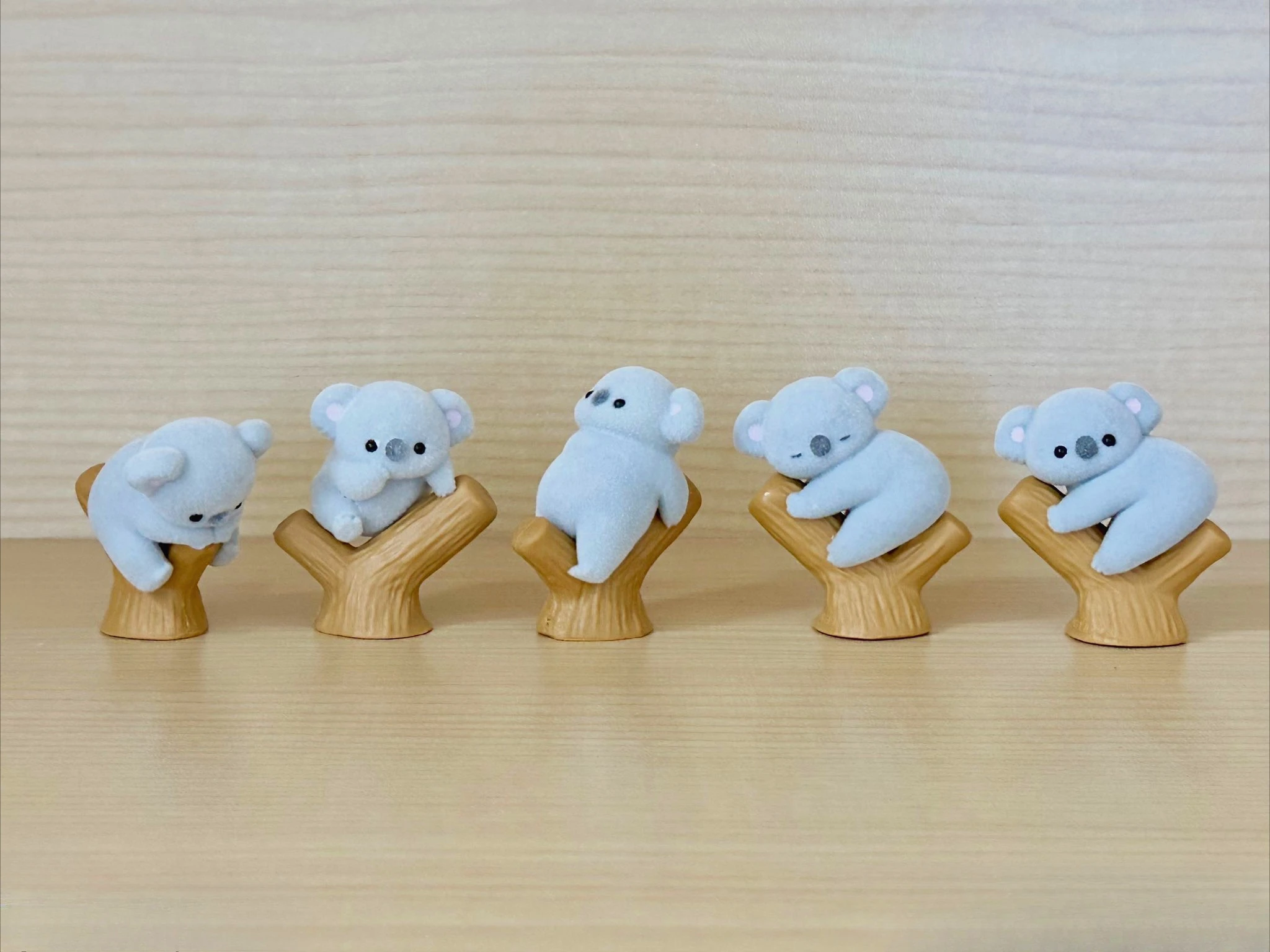 Giocattoli a capsula incantata - Baby Products In Japan recensione e prezzo
